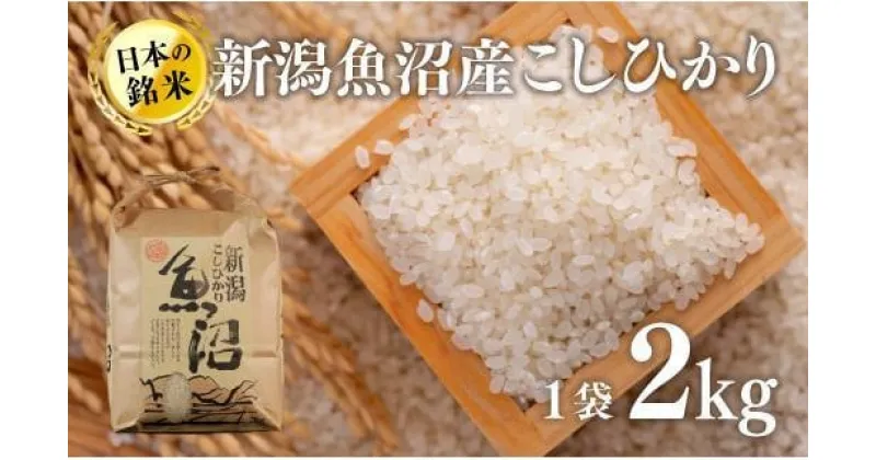 【ふるさと納税】新潟魚沼産こしひかり（精米）2kg　 米 お米 おこめ こめ 精米 白米 こしひかり 新