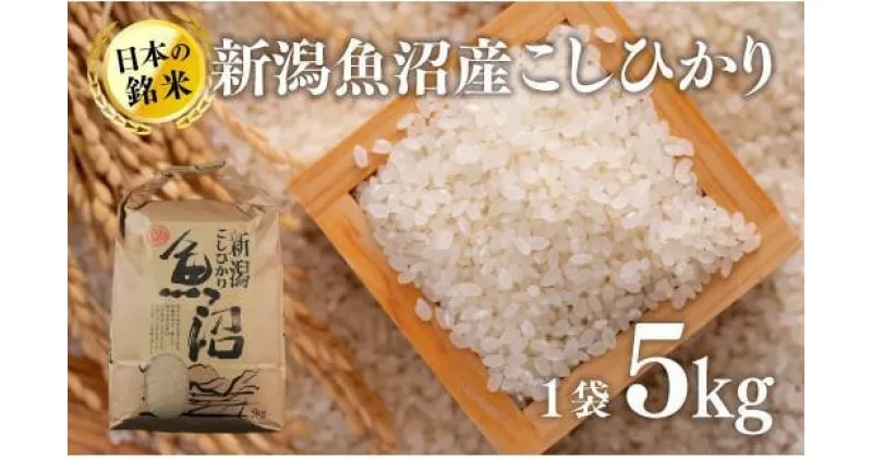 【ふるさと納税】新潟魚沼産こしひかり（精米）5kg　 米 お米 おこめ こめ 精米 白米 こしひかり 新潟