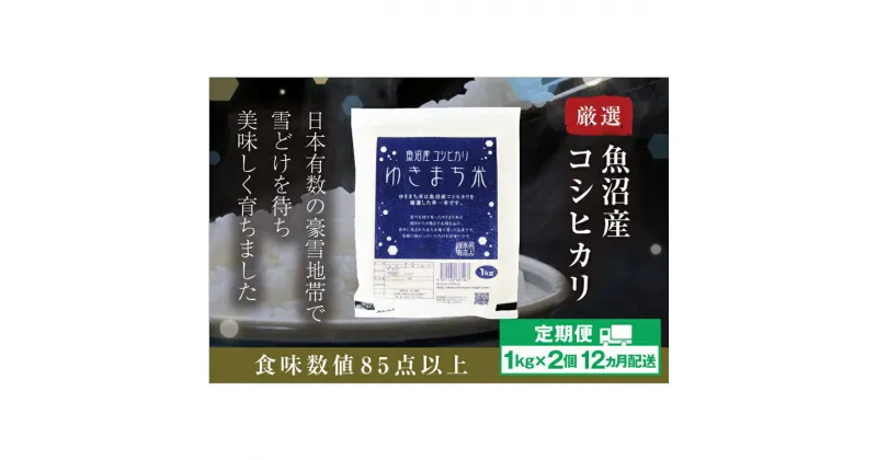 【ふるさと納税】【定期便／12ヶ月】ゆきまち米1kg×2個 極上魚沼産コシヒカリ　定期便・ お米 米 コシヒカリ こしひかり 魚沼産 魚沼産コシヒカリ 魚沼産こしひかり 　お届け：準備でき次第、順次発送