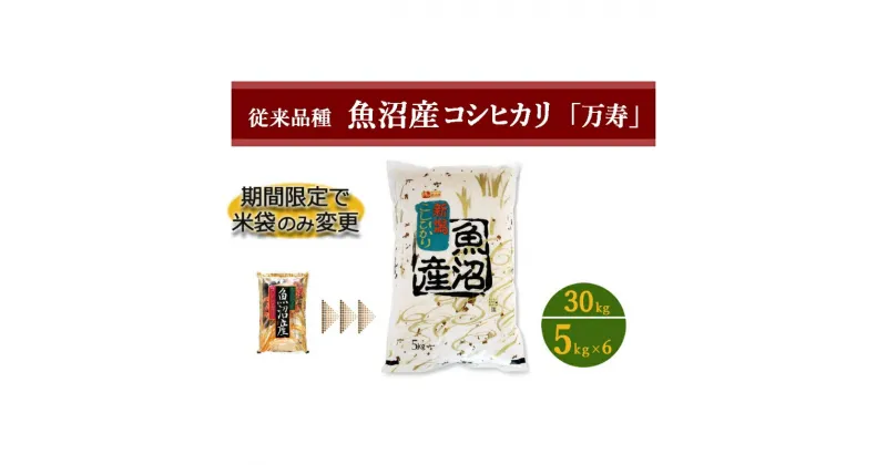 【ふるさと納税】数量限定 従来品種 魚沼産コシヒカリ 精米 5kg×6　 お米 米 コメ コシヒカリ 魚沼産 　お届け：準備でき次第、順次発送