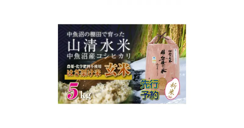 【ふるさと納税】【新米先行受付】新潟県魚沼産コシヒカリ◇玄米5kg 栽培期間中農薬・化学肥料不使用「山清水米」はざ架け米　十日町市　お届け：2024年11月以降、順次発送します。