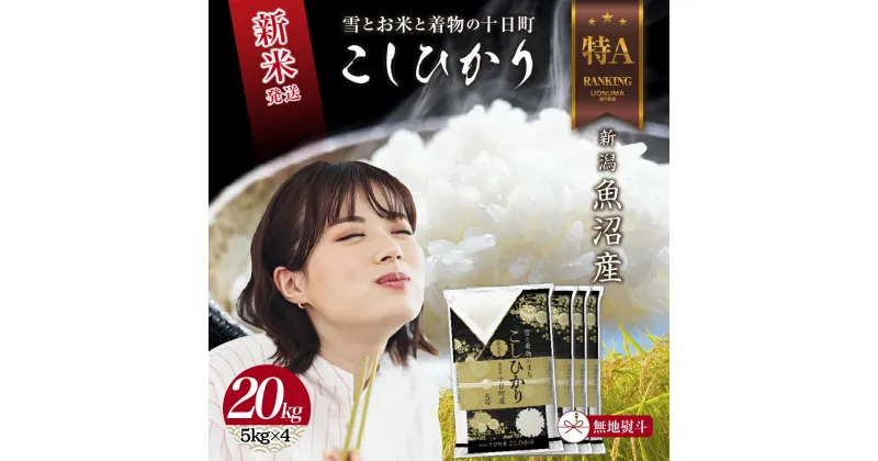 【ふるさと納税】【令和6年産 新米予約】 無地のし 令和6年産 新潟県 魚沼産 コシヒカリ お米 20kg （5kg×4袋）精米済み（お米の美味しい炊き方ガイド付き） 　お届け：2024年9月中旬より順次発送