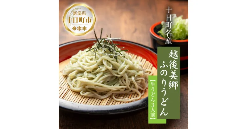 【ふるさと納税】越後美郷 ふのりうどん 3人前 160g 3束 めんつゆ付 うどん 饂飩 ふのり 布海苔 海藻 生うどん 生めん ざるうどん かけうどん 生麺 ギフト プレゼント 魚沼 名産 ご当地 グルメ お中元 お歳暮 あてま 新潟県 十日町市