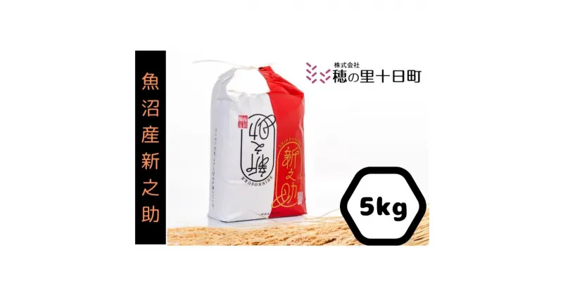 【ふるさと納税】令和6年産◎魚沼産【新之助】精米5kg 十日町市 十日町 米　お届け：2024年11月上旬～2025年9月下旬まで