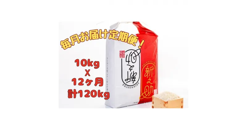 【ふるさと納税】【通年受付】魚沼産新之助　精米10kg（5kgx2袋）全12回 十日町市 十日町 米　定期便　お届け：2024年11月上旬以降、ご入金確認後順次配送予定。