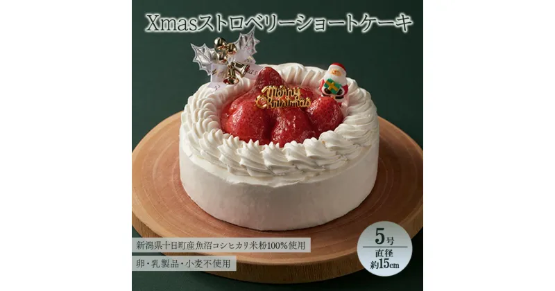 【ふるさと納税】Xmasストロベリーショートケーキ（5号・直径約15cm）十日町すこやかファクトリー 十日町市 スイーツ お取り寄せ　お届け：2024年12月19日～12月20日まで