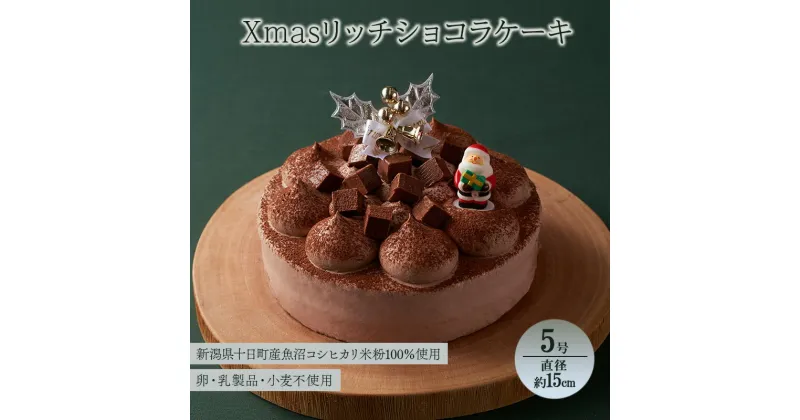 【ふるさと納税】Xmasリッチショコラケーキ（5号・直径約15cm）十日町すこやかファクトリー 十日町市 スイーツ お取り寄せ　お届け：2024年12月19日～12月20日まで